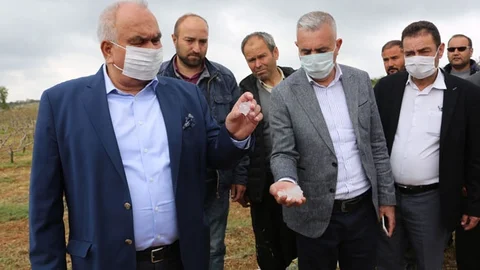 Erdemli’de Yaşanan Dolu Afeti Sonrası Başkan Tollu’dan Çiftçilere Ziyaret