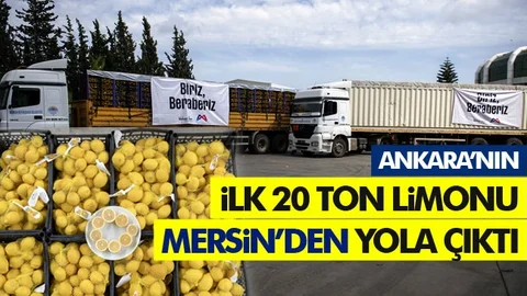 Mersin’in Limonları Bu Kez de Başkent İçin Yola Çıktı