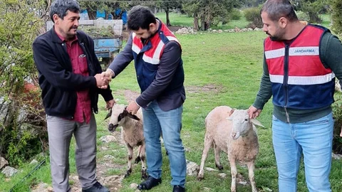 Çalınan Küçükbaş Hayvanlar ve Aküler Bulunarak Sahibine Teslim Edildi