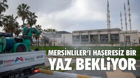 Larvalar Haşereye Dönüşmeden Yok Oluyor