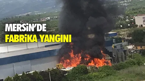 Fabrikadan Alevler Yükseldi