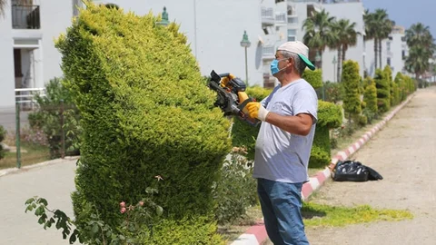 Sahil Bandı ve Parklarda Yaza Hazırlık