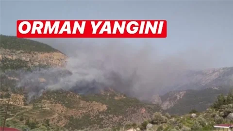 Mersin’de Orman Yangını!