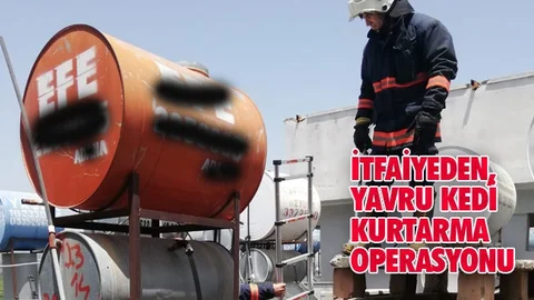 İtfaiyeden, Yavru Kedi Kurtarma Operasyonu