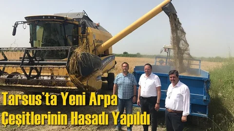Tarsus’ta Yeni Arpa Çeşitlerinin Hasadı Yapıldı