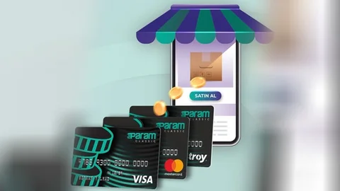 İnternetten Satış Yapan Firmaların Tahsilatları Anında Hesaplarında