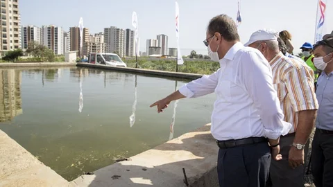Mersin’de Sinekle Mücadelede Biyolojik Yöntem Başlıyor