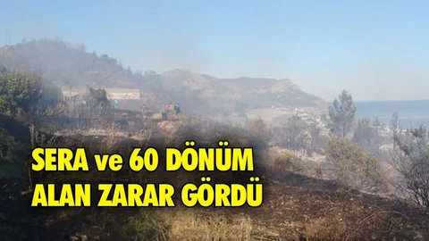 Yangında 60 Dönüm Alan ve 25 Sera Zarar Gördü
