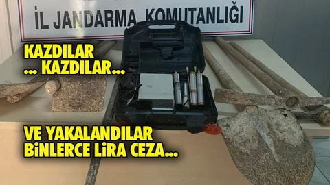 Zenginlik Hayalleri Suya Düştü, Üstüne Ceza Yediler