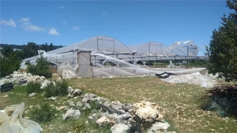 Poyraz Fırtınsı Tarım Arazileri ve Seralara Zarar Verdi