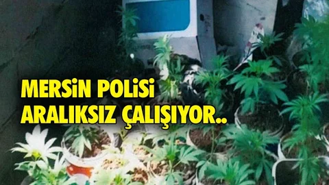 Mersin Akdeniz’de Polis 19 Hırsızlık Olayını Aydınlattı, Saksıya Ekilmiş Hint Keneviri Ele Geçirdi