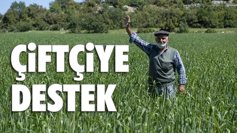 Mersin'de Kaliteli ve Genetiği Değiştirilmemiş Buğday Üretimine Destek