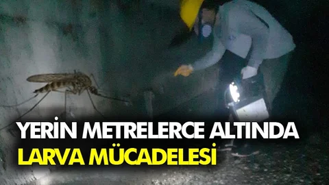 Larva Mücadelesi Yer Altında da Yer Üstünde de Sürüyor