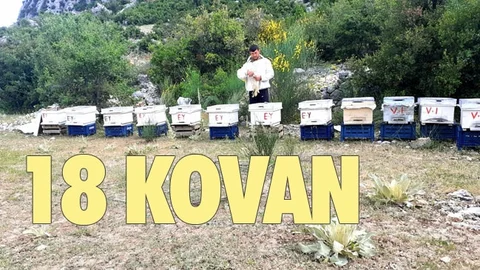 Çalınan Arı Kovanları Bulunarak Sahibine Teslim Edildi