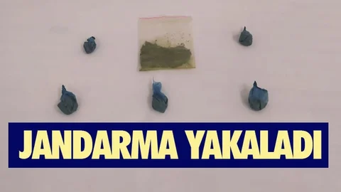 Jandarmadan Uyuşturucu Satıcılarına Gözaltı