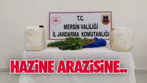 Devletin Arazisine Hint Keneviri Ekmişler