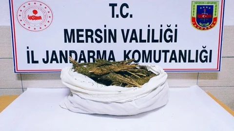 Attıkları Poşetten Çıktı..