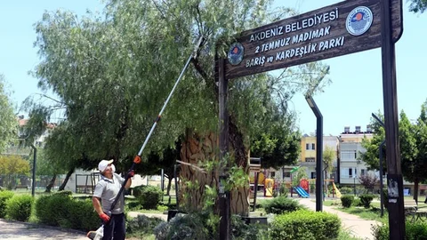 Park ve Yeşil Alanlar Zararlı Böceklere Karşı İlaçlanıyor