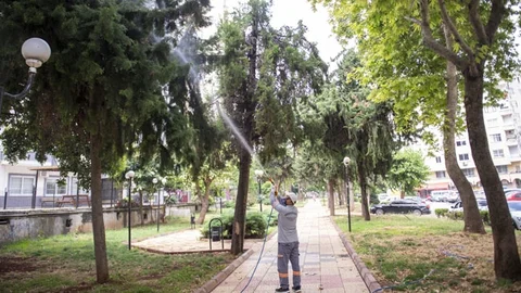 İlaçlama Çalışmaları Tüm İlçelerde Sürüyor