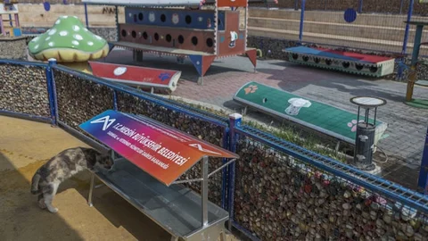 Patili Dostlara Özel Mama ve Su Teknesi