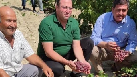 İlk Hasat Mersin’den