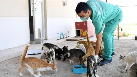 15 Ayda 160 Bin Kilo Mama İle Canlara Ulaştı