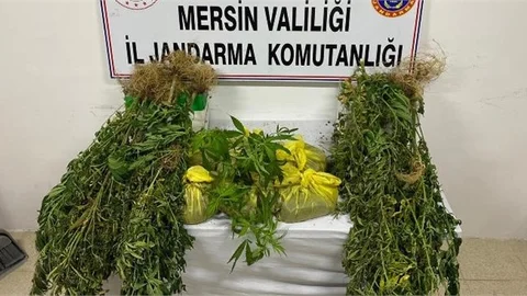 Evlerinde ve Ormanlık Alanda..