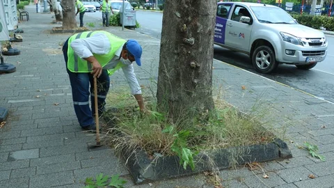 Yeni Kurulan Ekipler, Kente Dokunmaya Başladı