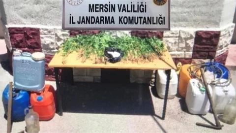 Mezitli’de Ele Geçirildi