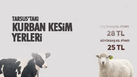 Tarsus’ta Kurbanlık Fiyatları İle Satış ve Kesim Yerleri Belirlendi