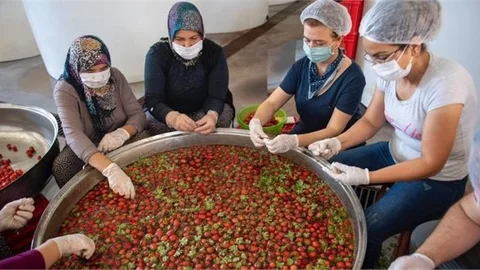 Hem Üreticiye Hem de Emekçiye Katkı