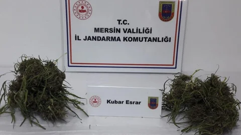 Üzerinden 120 Gram Esrar Çıktı