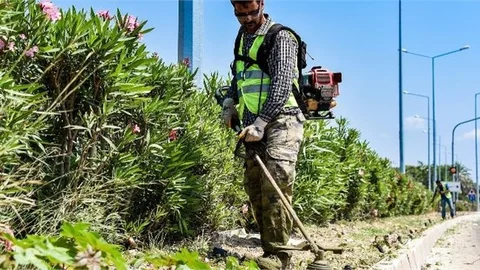 Kapsamlı Refüj Temizliği