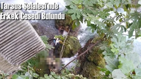 Erkek Şahısa Ait Ceset Bulundu