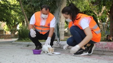 Sokak Hayvanlarına Umut Oluyorlar