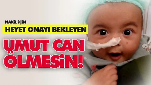 Umut Can Ölmesin!