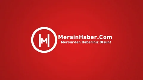 İnternet Kullanan Bireylerin Oranı %79,0 Oldu