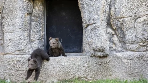 Doğa Parkı, Hijyen ve Temizlik İçin Pazartesi Günleri Ziyarete Kapatılacak