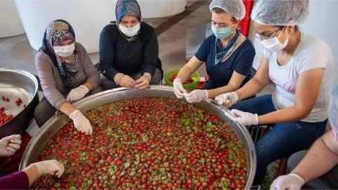 Tarım ve Hayvancılığa Can Suyu Mersin Büyükşehir’den