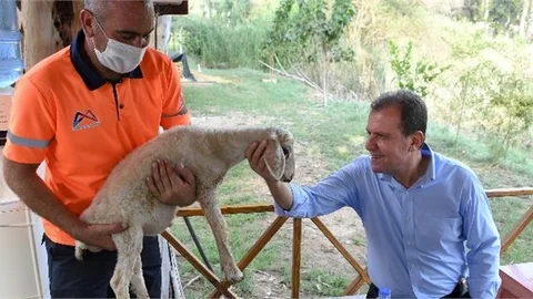 "Öksüz" Artık Öksüz Değil!