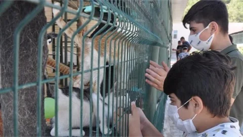 Hayvanları Koruma Günü’nde Anlamlı Etkinlik