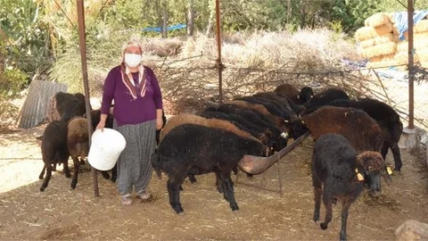 "Haydi Gel Köyümüze Destek Verelim Projesi" Kadınların ve Gençlerin Umudu Oldu