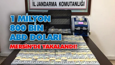 Sahte Amerikan Doları Ele Geçirildi