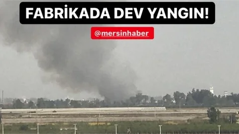 Tarsus’ta Fabrika Yangını