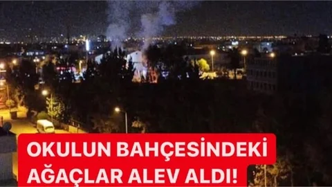 Okulun Bahçesindeki Ağaçlar Yandı