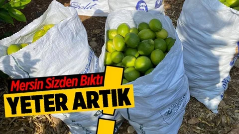 Uslanmayan Hırsızlar Çaldıklarını Bırakarak Kaçtı!