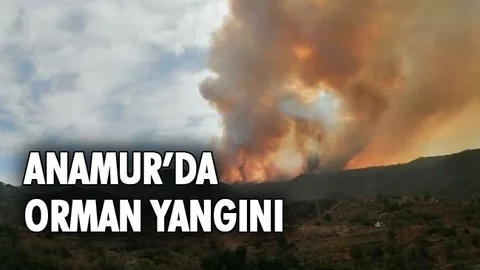 Anamur'da Orman Yangını