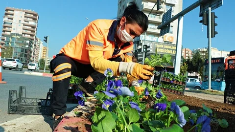 Mersin, Kışın da RengÂrenk Bir Çiçek Bahçesi