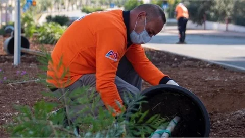 13 İlçede "Yeşil Mersin Projesi"