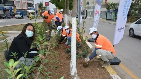 İl Genelinde 700 Bin Fidan Dikimi